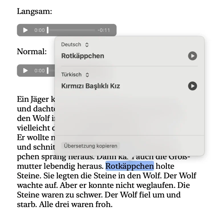 Screenshot mit der Übersetzungsfunktion