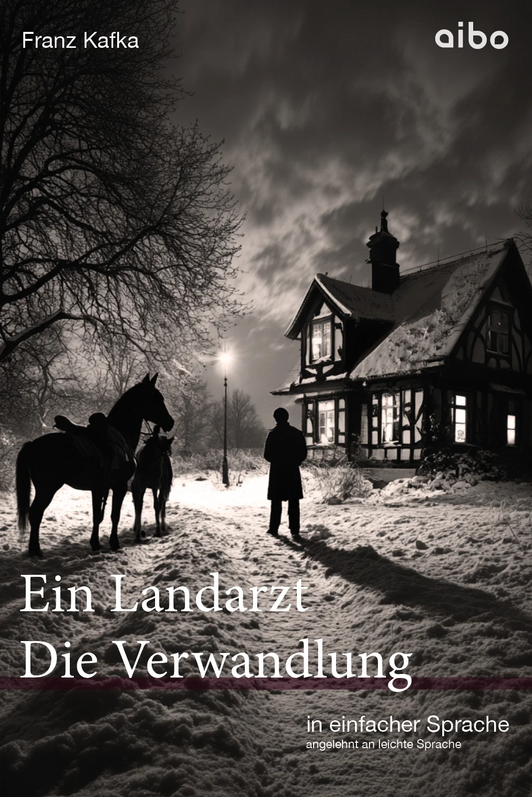 Der Landarzt steht vor dem Haus der Familie, die ihn gerufen hat. Titelbild Franz Kafka - Ein Landarzt. Kleine Erzählungen. Die Verwandlung.