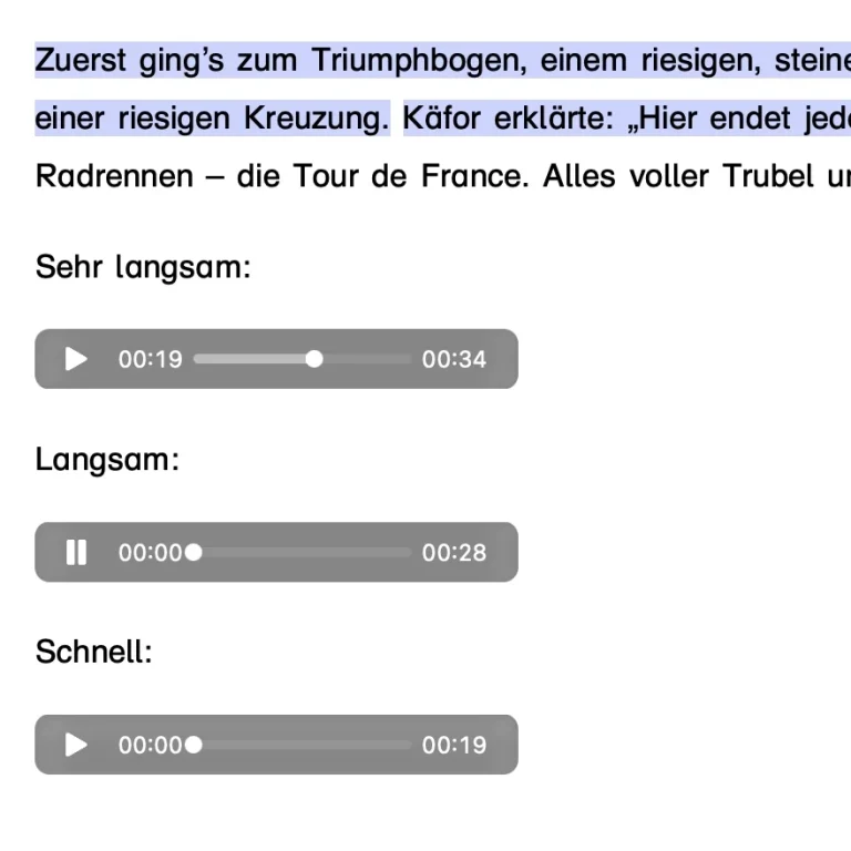 Screenshot Audiospuren Screenshot mit den gesprochenen Audiospuren in sehr langsam, langsam und schnell